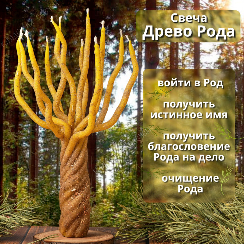 Свеча "Древо Рода" Свеча "Древо Рода"